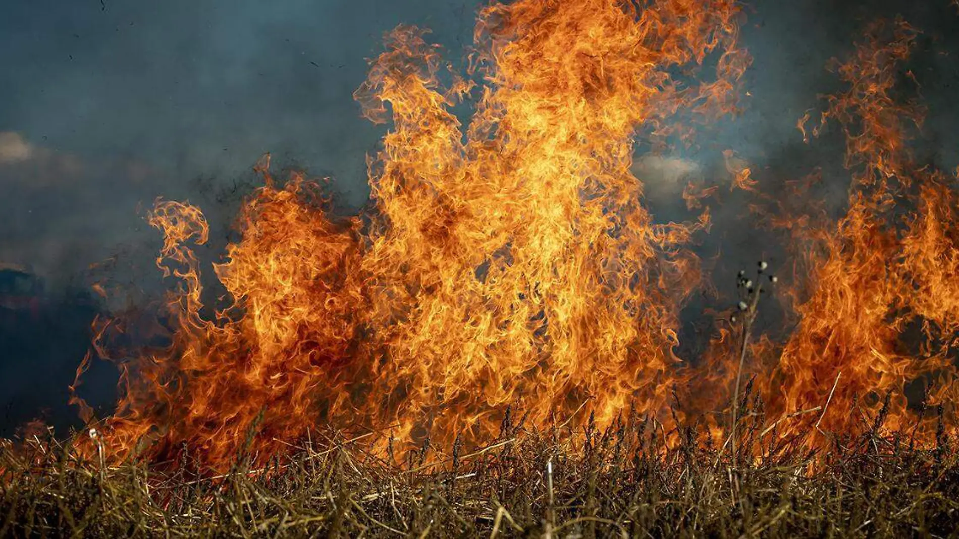 Con 317 incendios forestales registrados hasta el cierre de junio, Puebla se ubicó en el séptimo lugar a nivel nacional